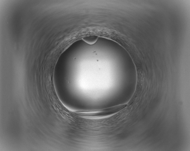 X0000078891489200611201423