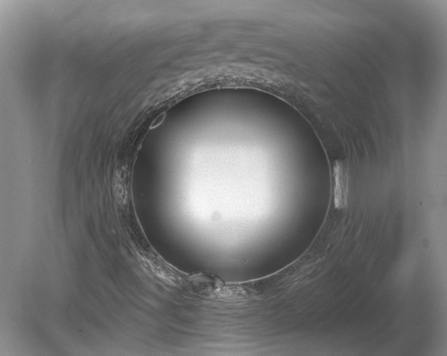 X0000078891491200611201423