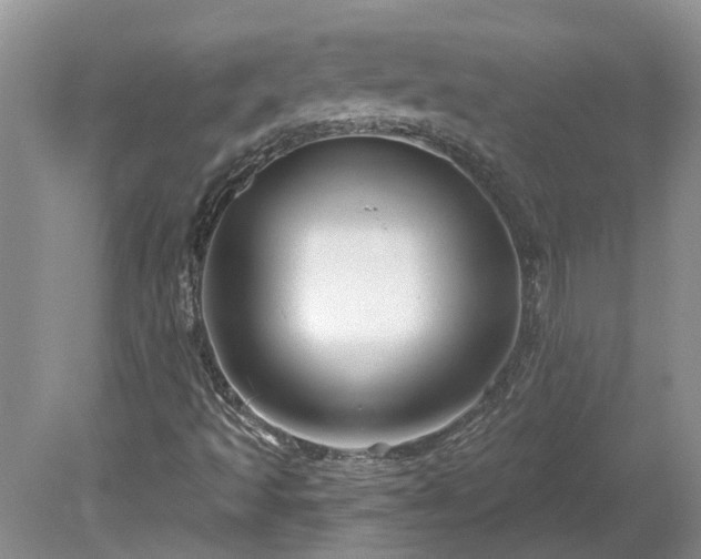 X0000078891493200611201423