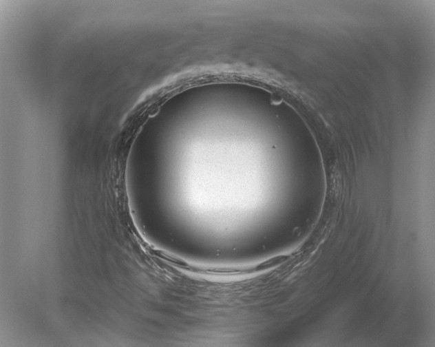 X0000078891494200611201423