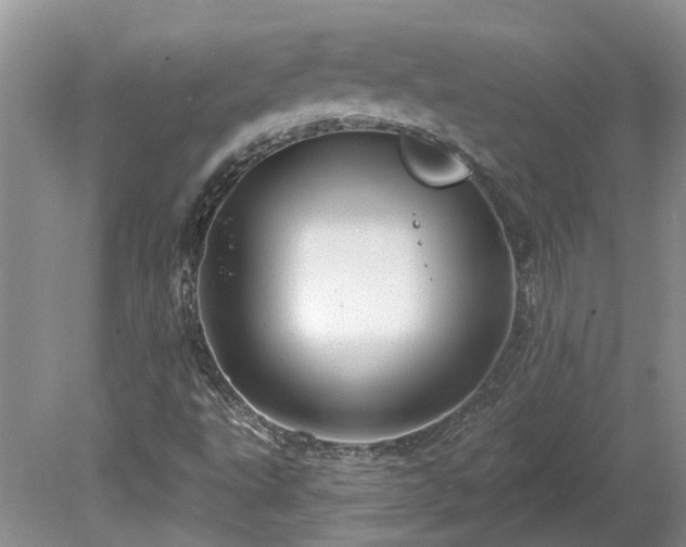 X0000078891495200611201423