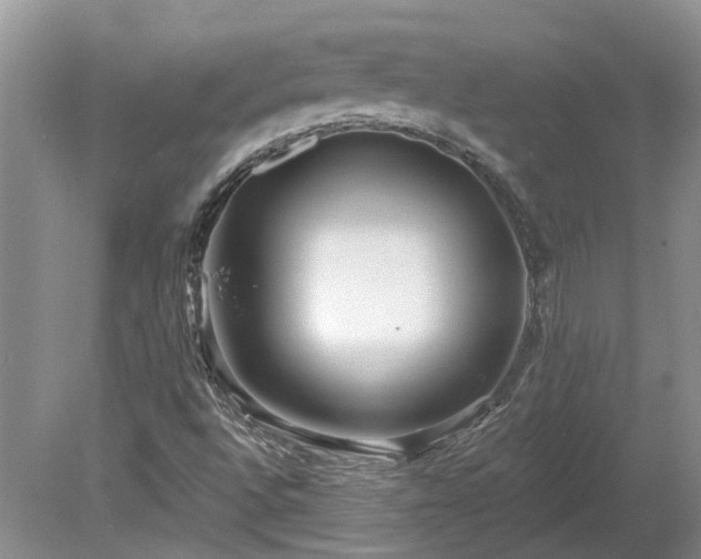 X0000078891496200611201423