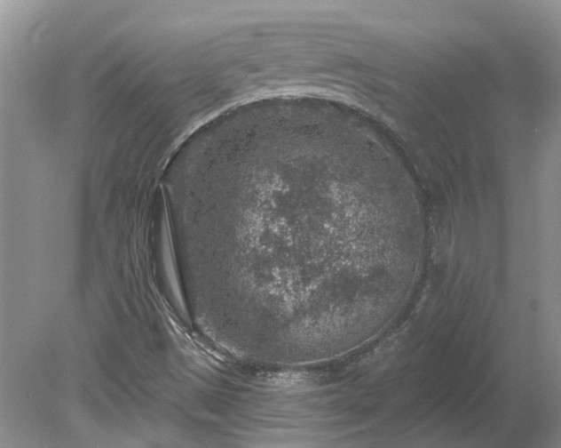 X0000078891497200611201423