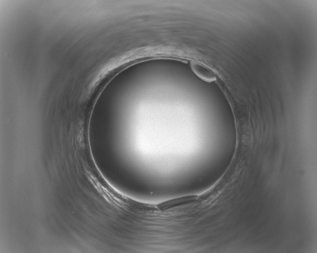 X0000078891499200611201423