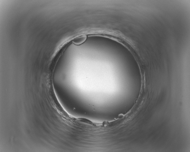 X0000078891501200611201423