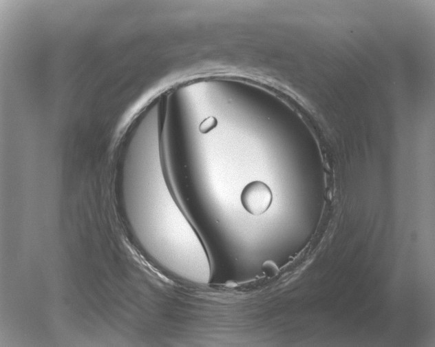 X0000078891502200611201423