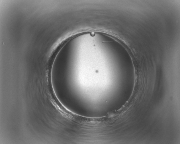 X0000078891503200611201423