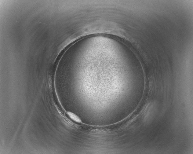 X0000078891505200611201423