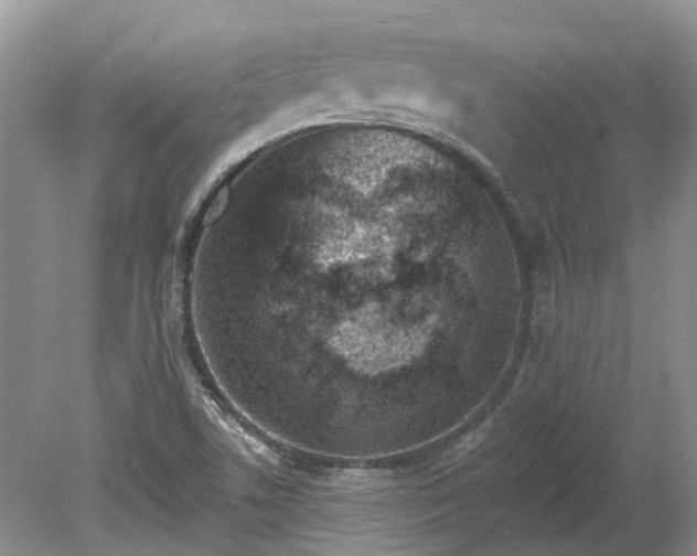 X0000078891506200611201423