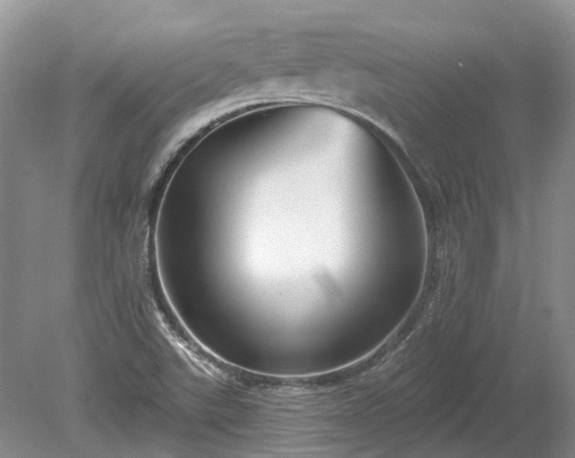 X0000078891507200611201423