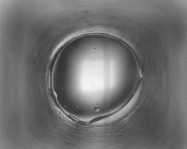 X0000078891510200611201423