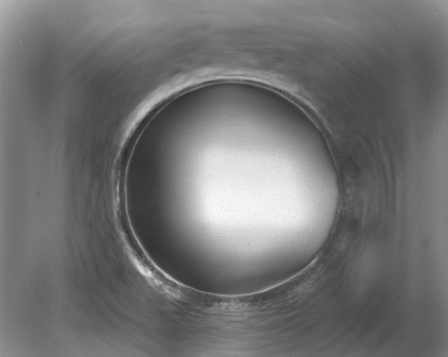 X0000078891511200611201423