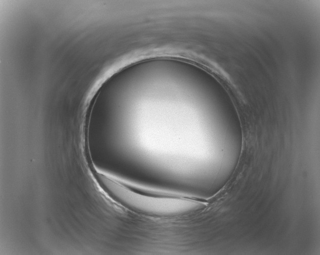 X0000078891512200611201423