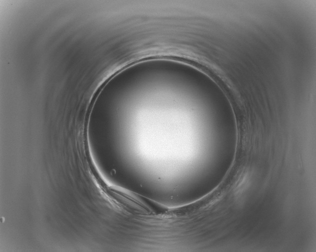 X0000078891513200611201423