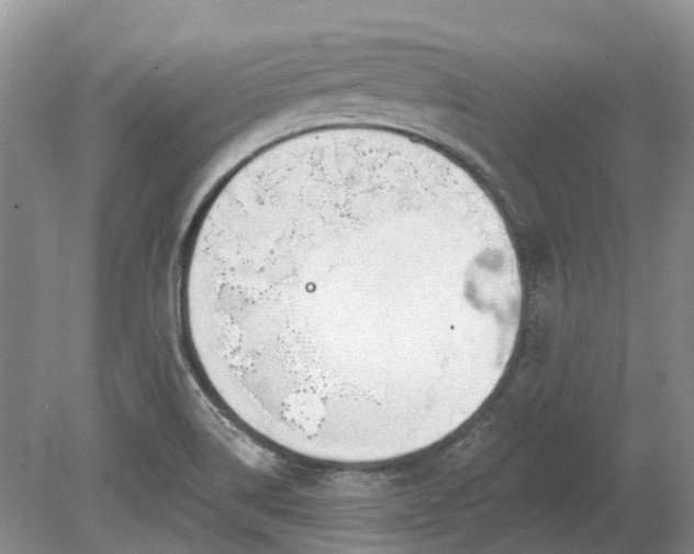 X0000078891514200611201423