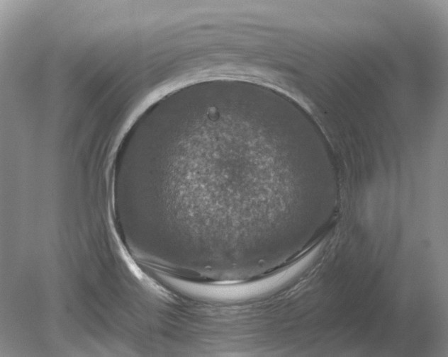 X0000078891515200611201423