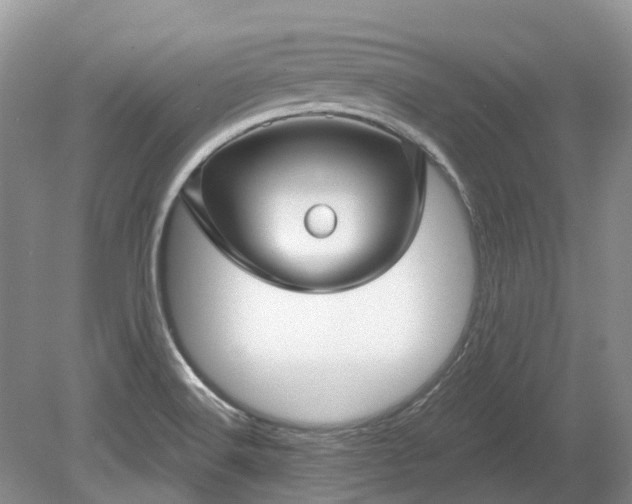 X0000078891516200611201423