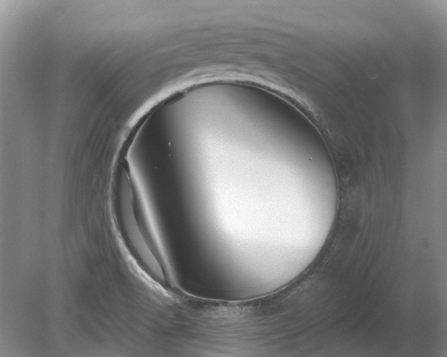 X0000078891518200611201423