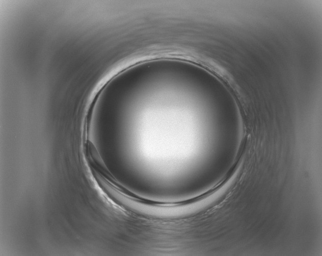 X0000078891520200611201423