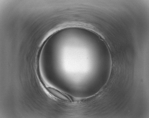 X0000078891523200611201423