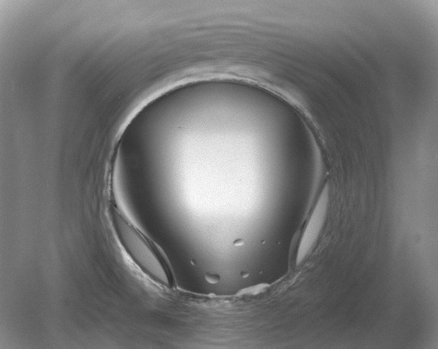 X0000078891524200611201423