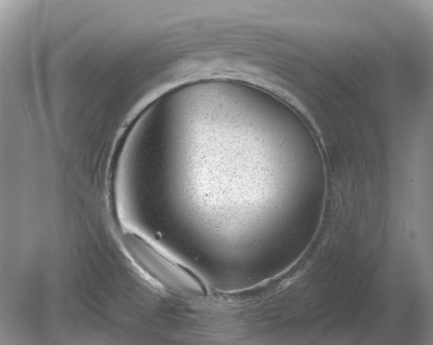 X0000078891525200611201423