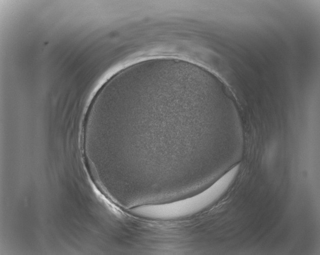 X0000078891527200611201423