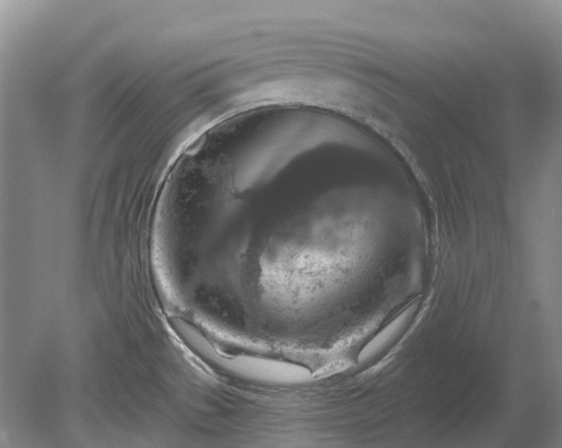 X0000078891529200611201423