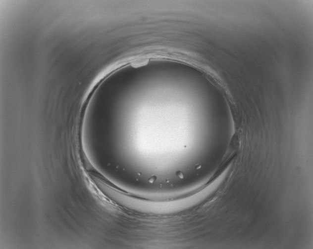 X0000078891530200611201423