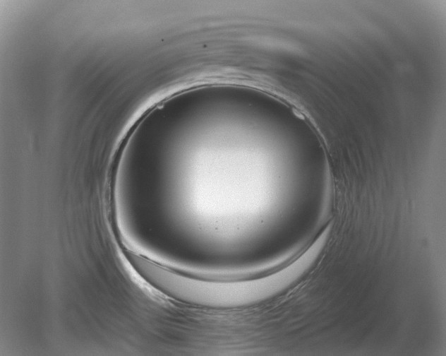 X0000078891531200611201423