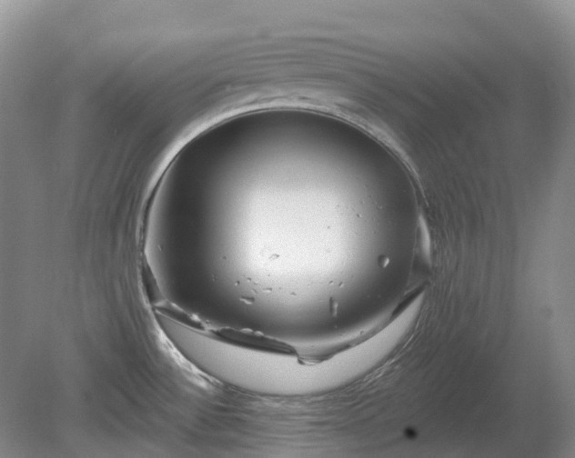 X0000078891532200611201423