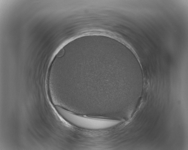 X0000078891533200611201423