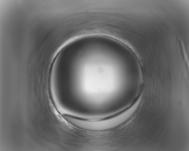 X0000078891534200611201423