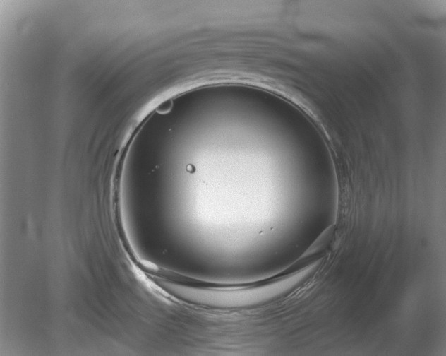 X0000078891535200611201423