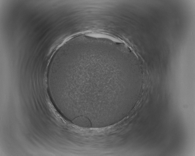 X0000078890002200611271405