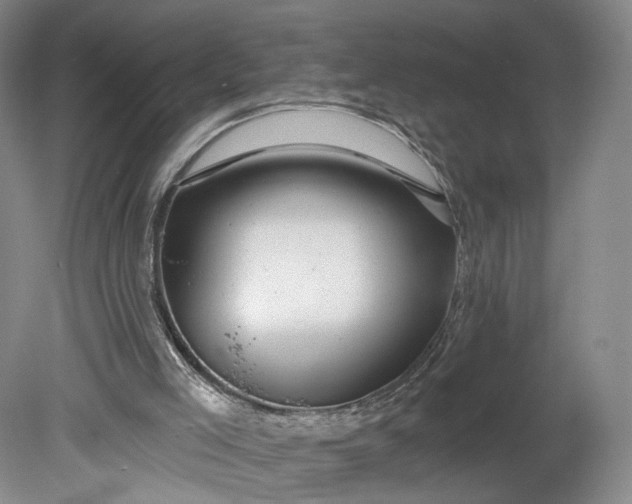 X0000078890005200611271404