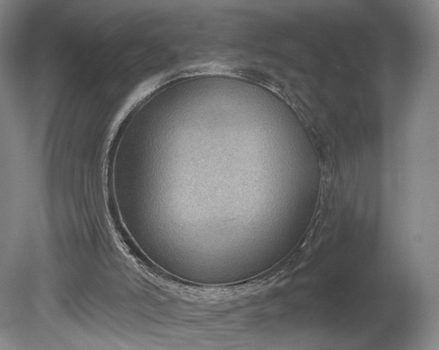 X0000078890006200611271404