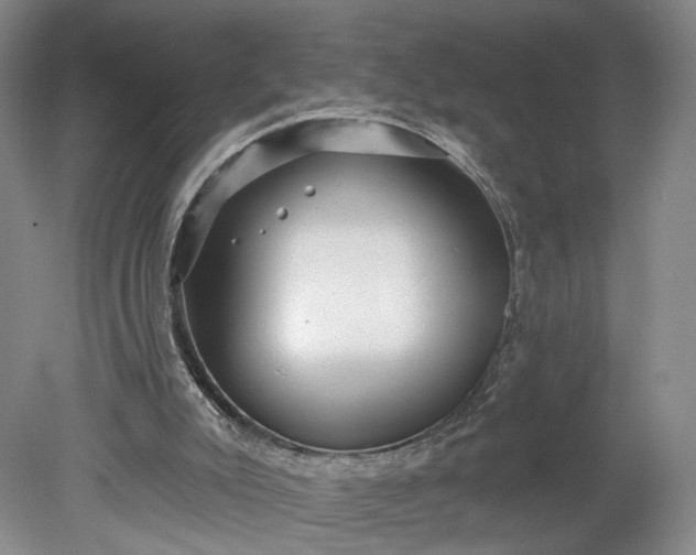 X0000078890007200611271404