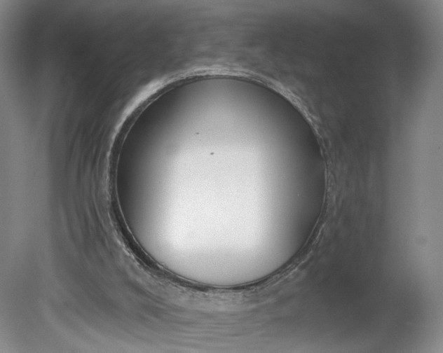 X0000078890008200611271404