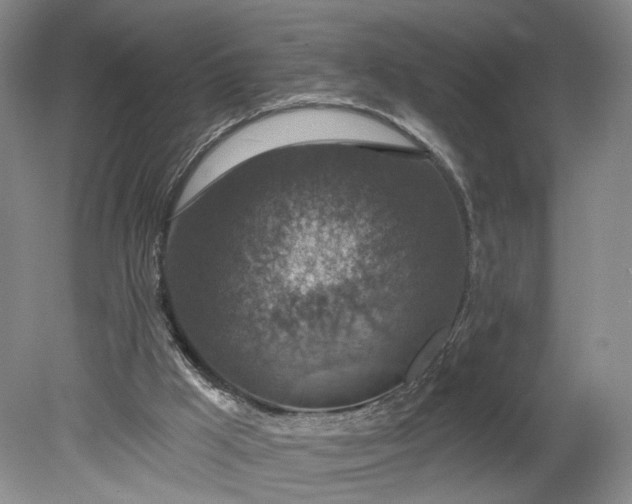 X0000078890009200611271404