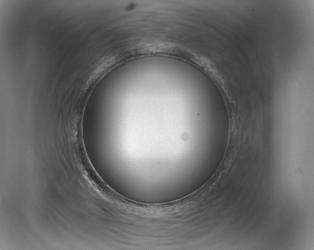 X0000078890010200611271404