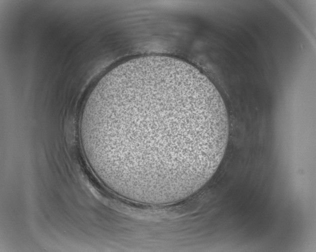 X0000078890012200611271404