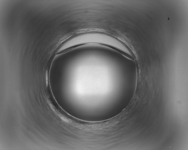 X0000078890013200611271404