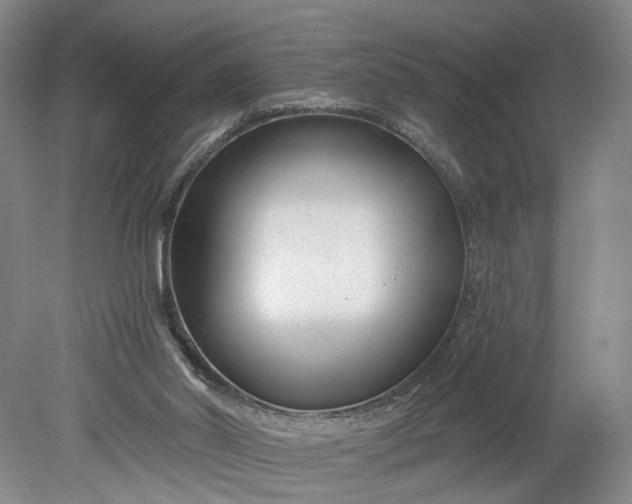 X0000078890014200611271404