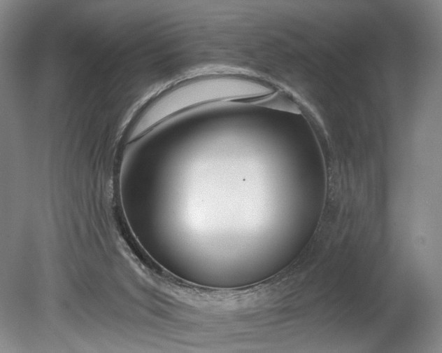 X0000078890015200611271404