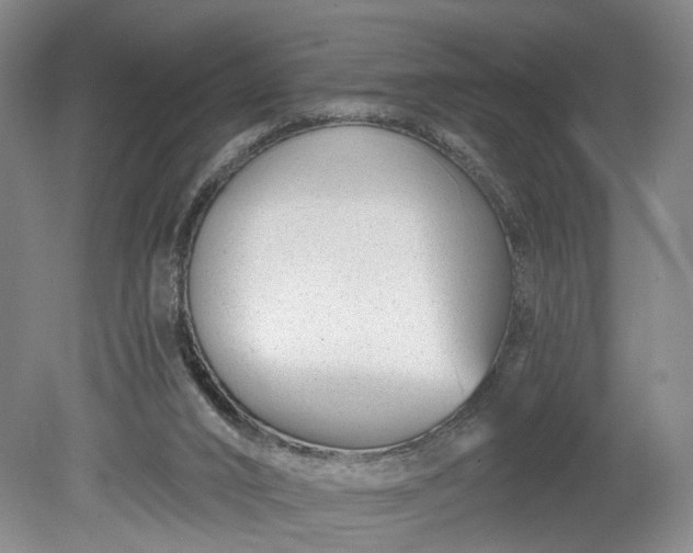 X0000078890016200611271404