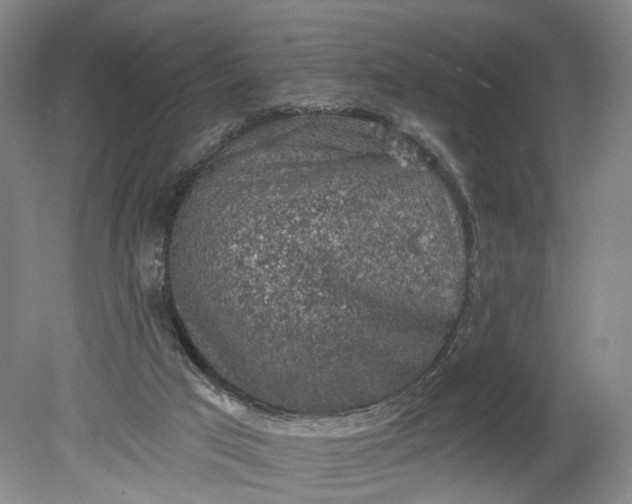 X0000078890017200611271404