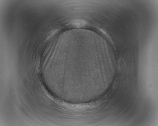 X0000078890018200611271404