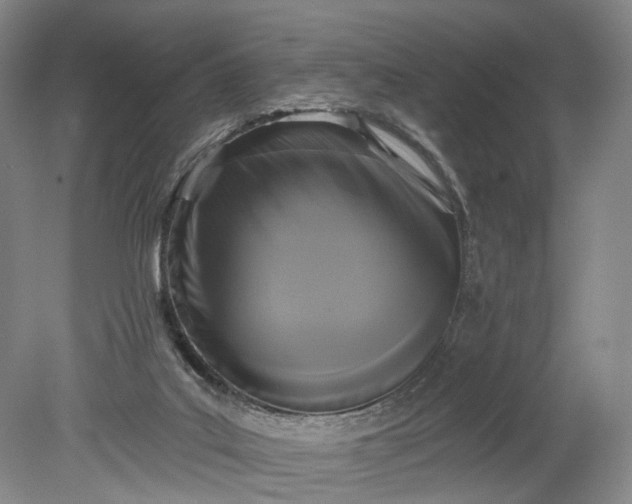 X0000078890019200611271404