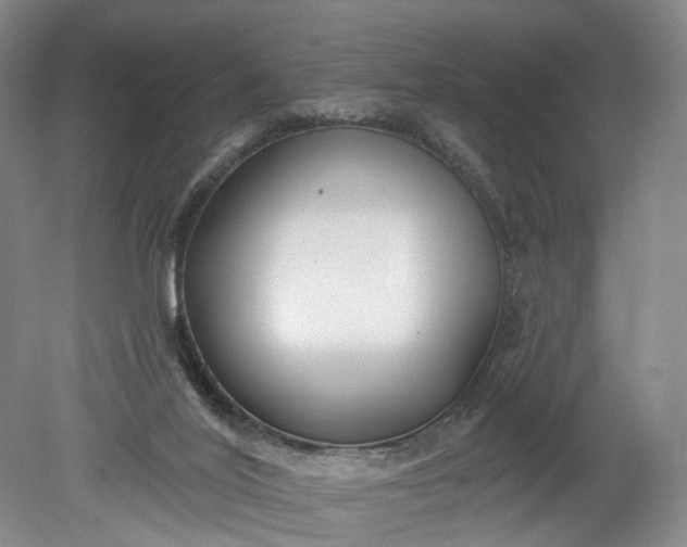 X0000078890020200611271404